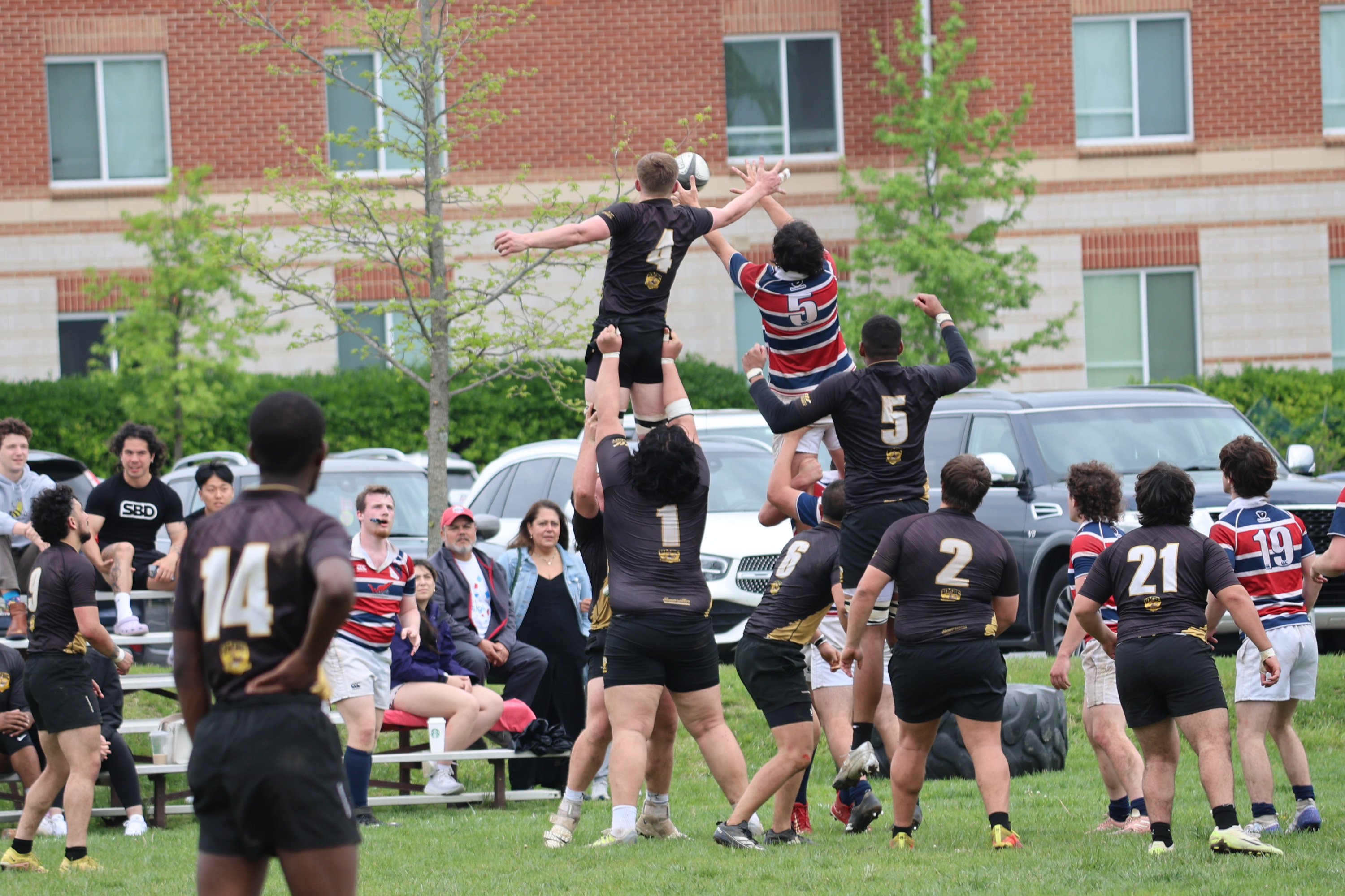 Rugby Excellence